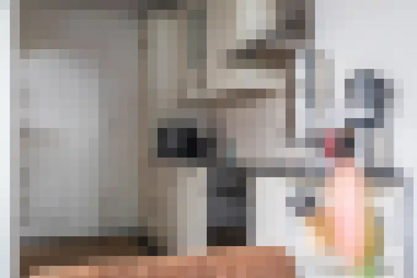 vd Duyn v Maasdamstr 3 Hoogeveen thumbnail 9