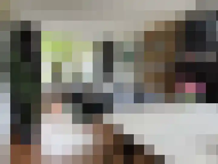 vd Duyn v Maasdamstr 4 Coevorden thumbnail 13