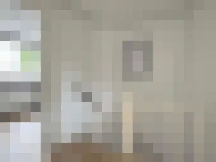 vd Duyn v Maasdamstr 4 Coevorden thumbnail 19