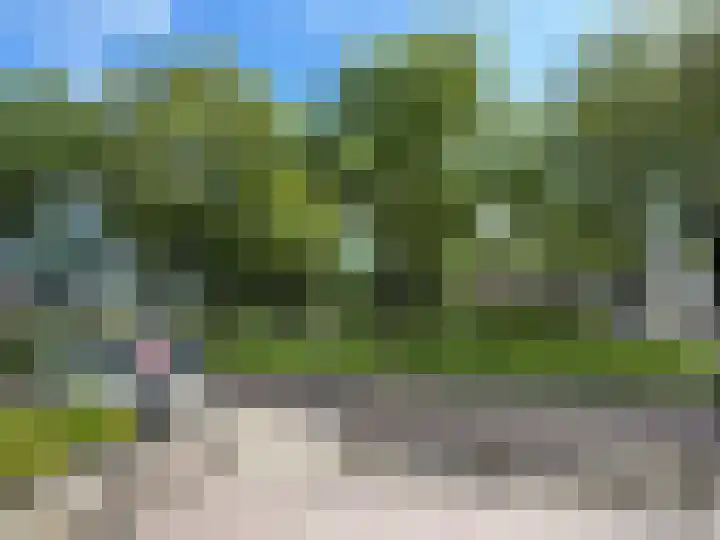 vd Duyn v Maasdamstr 4 Coevorden thumbnail 8