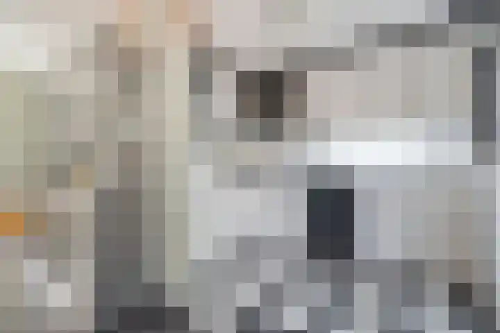 vd Duyn v Maasdamstr 7 Coevorden thumbnail 12
