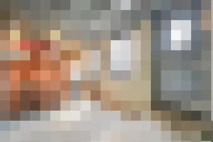 vd Duyn v Maasdamstr 7 Coevorden thumbnail 27