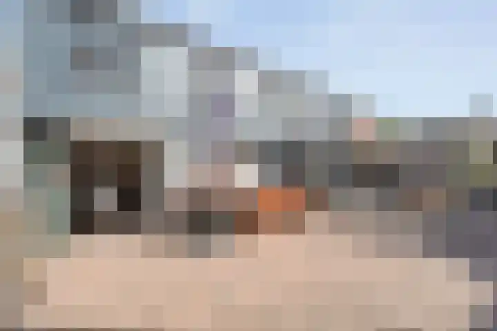 vd Duyn v Maasdamstr 7 Coevorden thumbnail 30