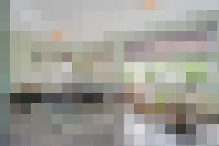 vd Duyn v Maasdamstr 7 Coevorden thumbnail 5
