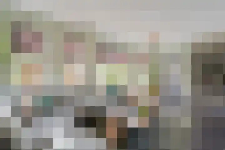 vd Duyn v Maasdamstr 7 Coevorden thumbnail 6