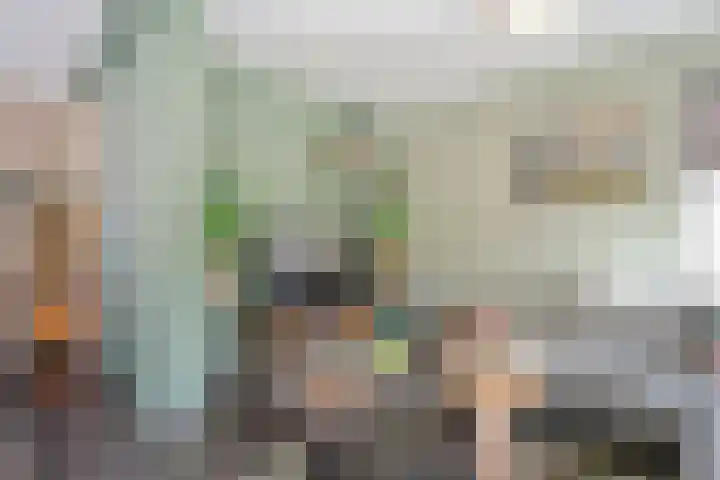 vd Duyn v Maasdamstr 7 Coevorden thumbnail 7