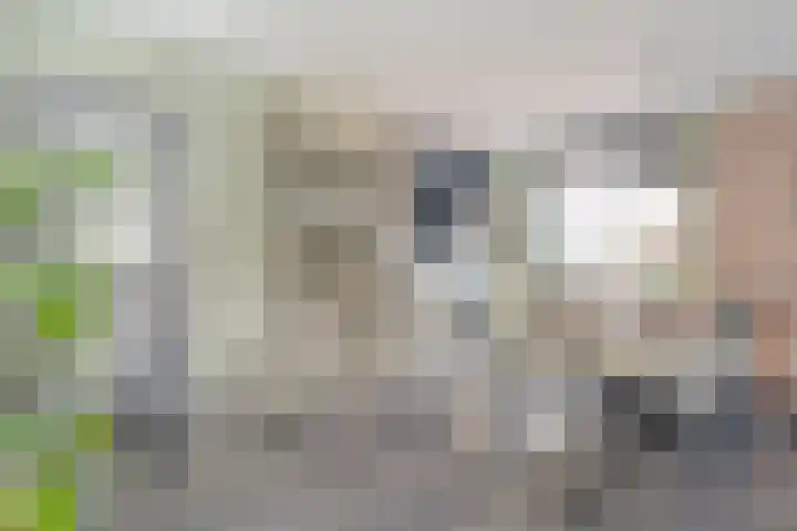 vd Duyn v Maasdamstr 7 Coevorden thumbnail 8