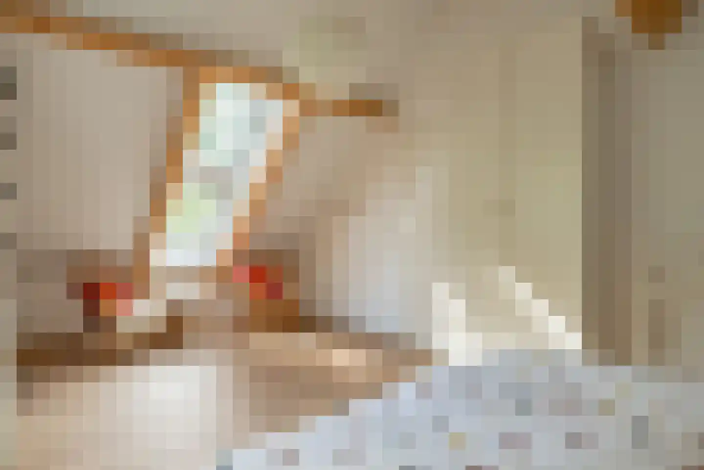 Vebenabos 19 Koudekerke thumbnail 22