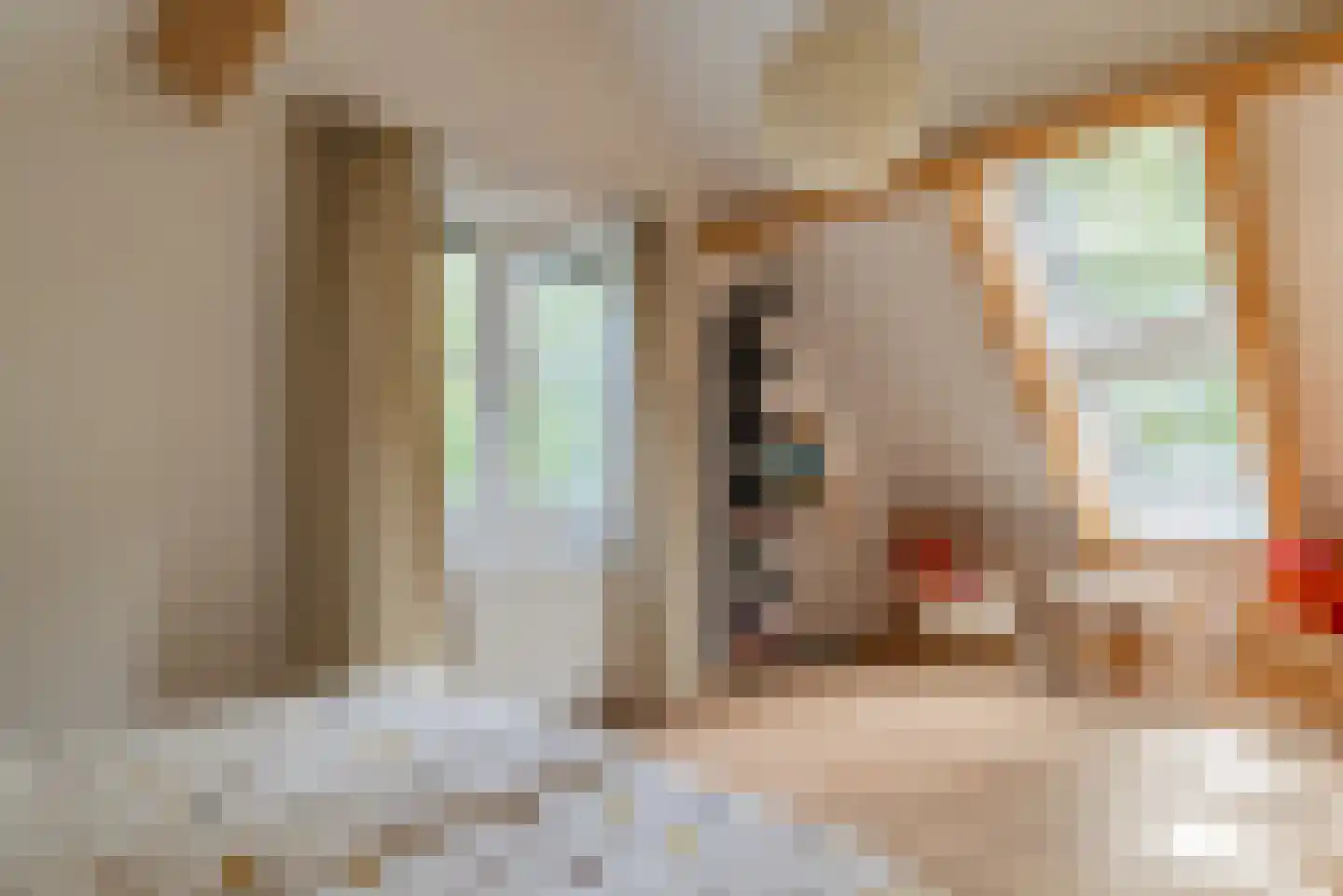 Vebenabos 19 Koudekerke thumbnail 23
