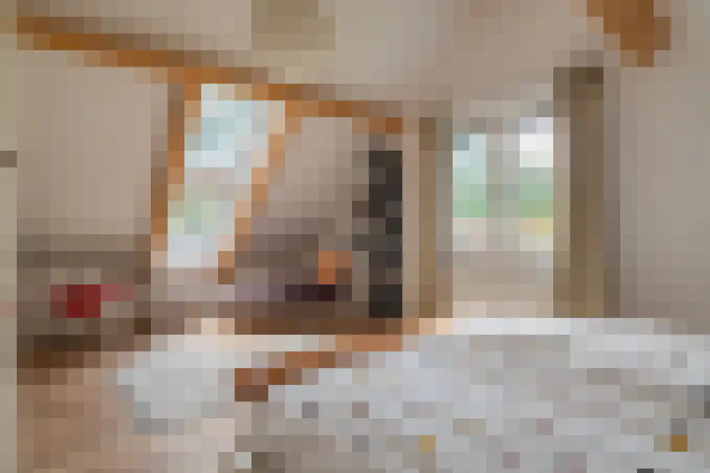 Vebenabos 19 Koudekerke thumbnail 25