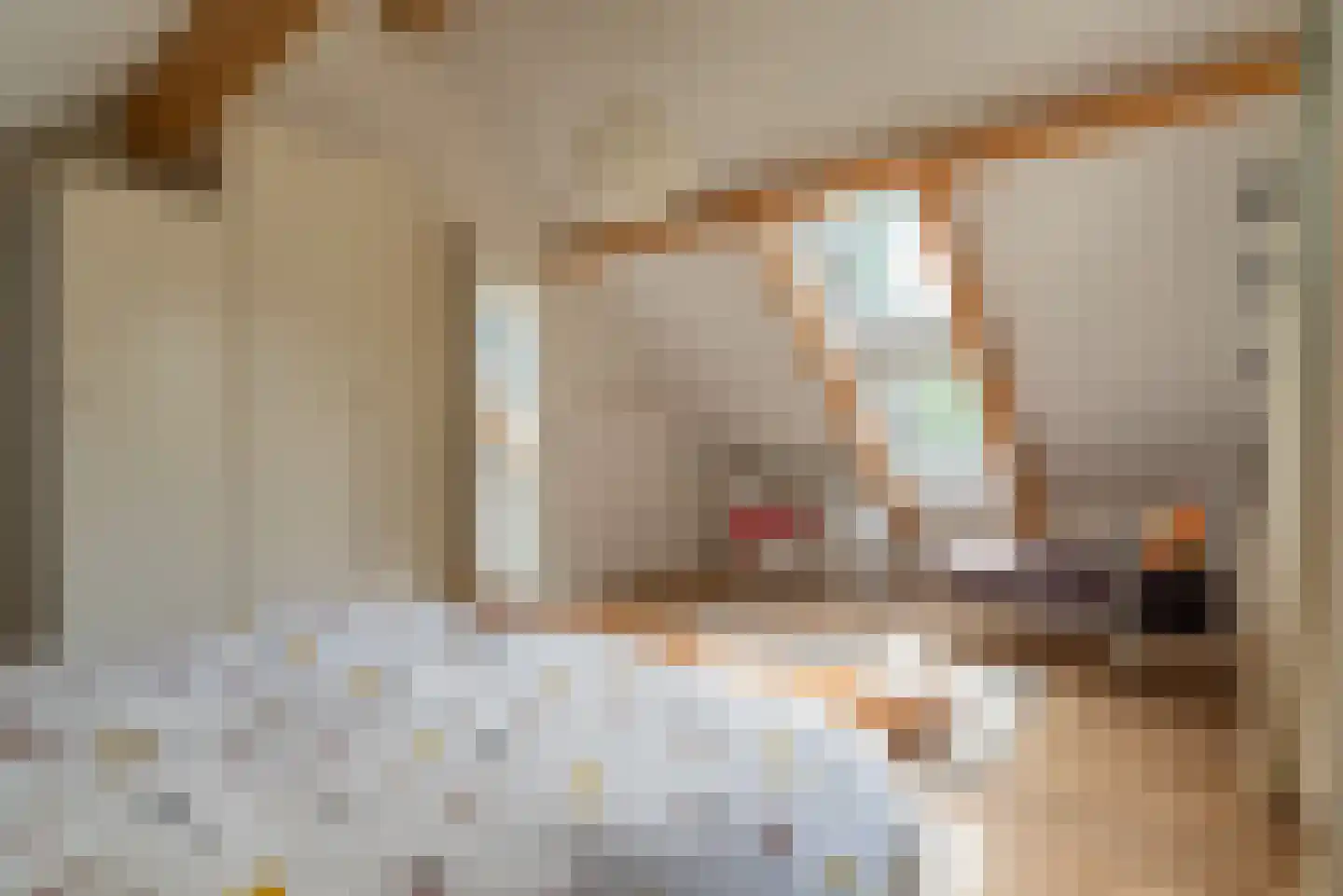 Vebenabos 19 Koudekerke thumbnail 26