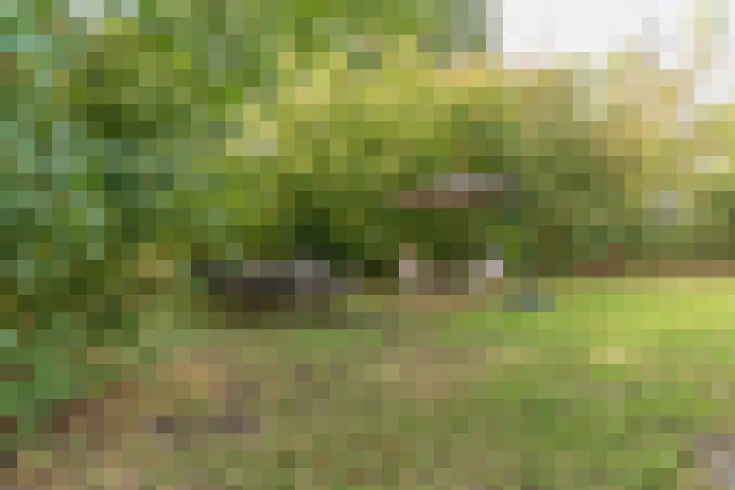 Vebenabos 19 Koudekerke thumbnail 33