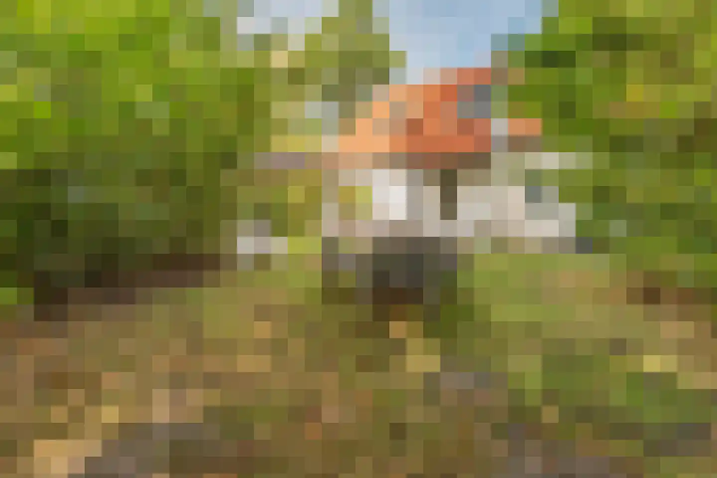 Vebenabos 19 Koudekerke thumbnail 34