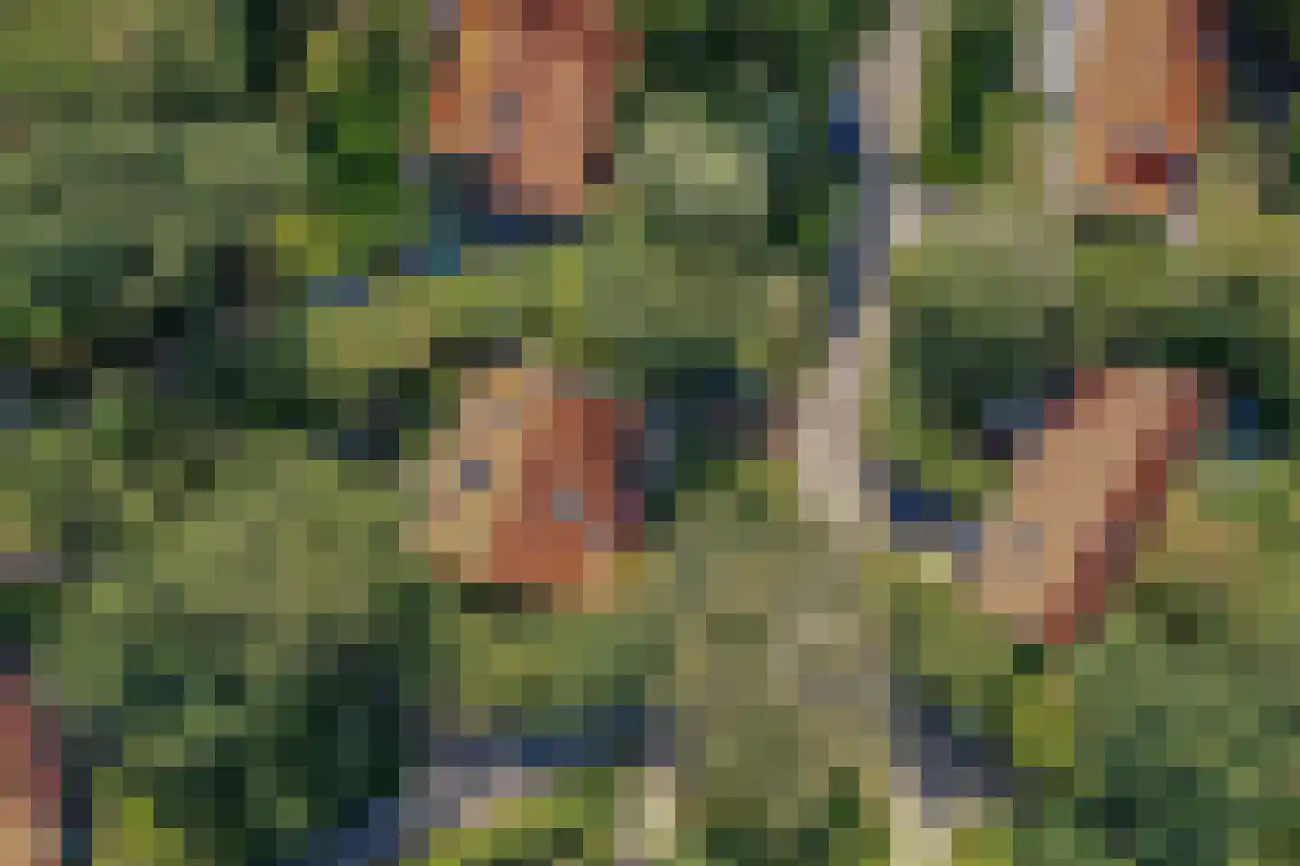 Vebenabos 19 Koudekerke thumbnail 35