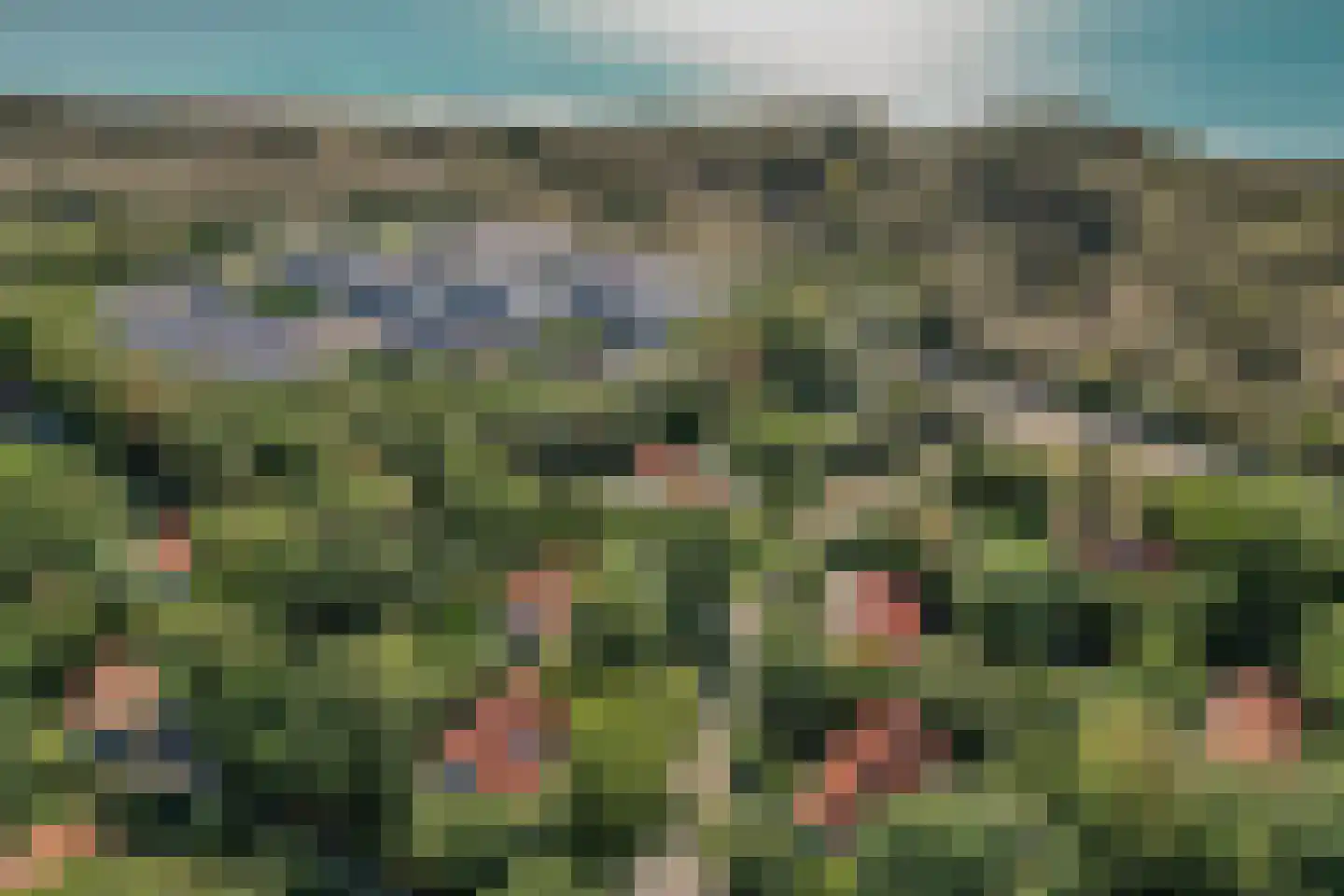 Vebenabos 19 Koudekerke thumbnail 36