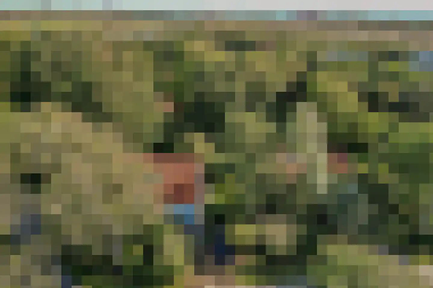 Vebenabos 19 Koudekerke thumbnail 37