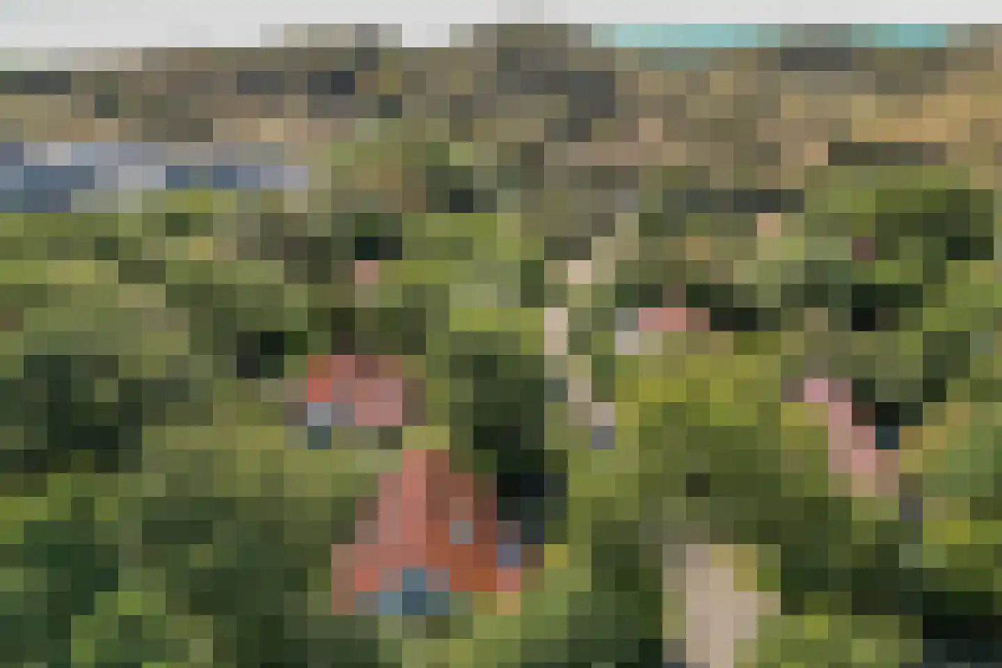 Vebenabos 19 Koudekerke thumbnail 38