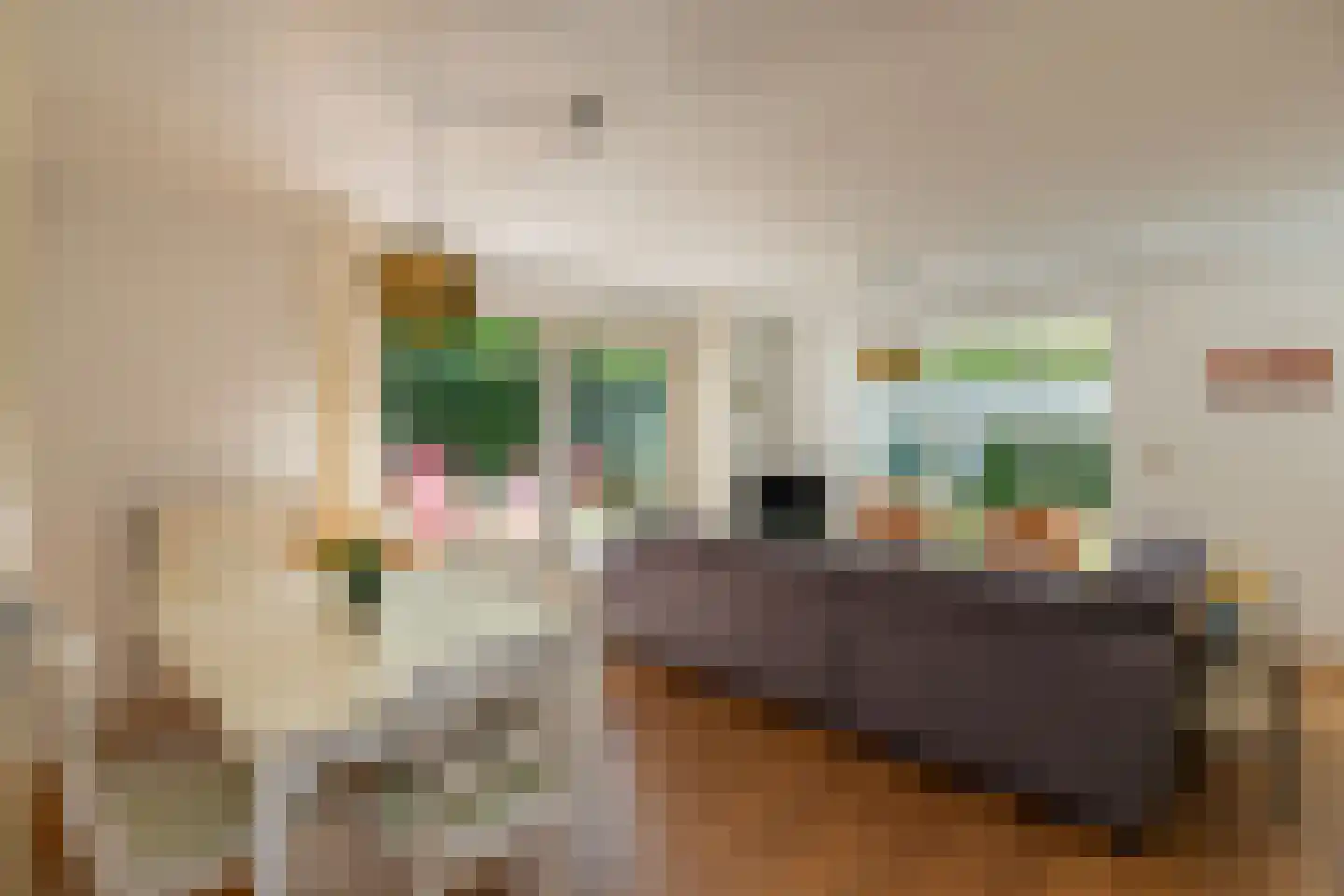 Vebenabos 39 Koudekerke thumbnail 10