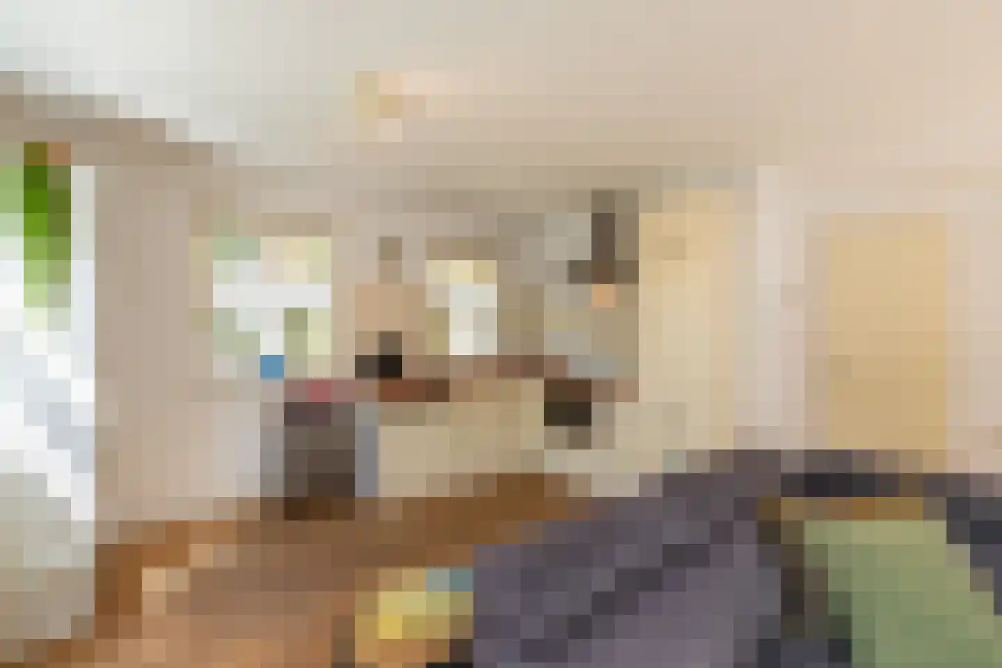 Vebenabos 39 Koudekerke thumbnail 14