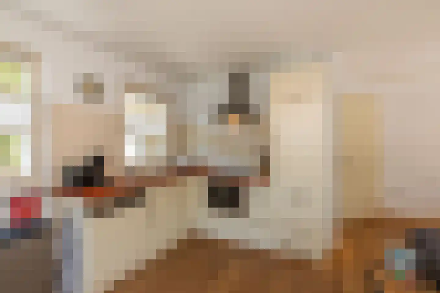 Vebenabos 39 Koudekerke thumbnail 15