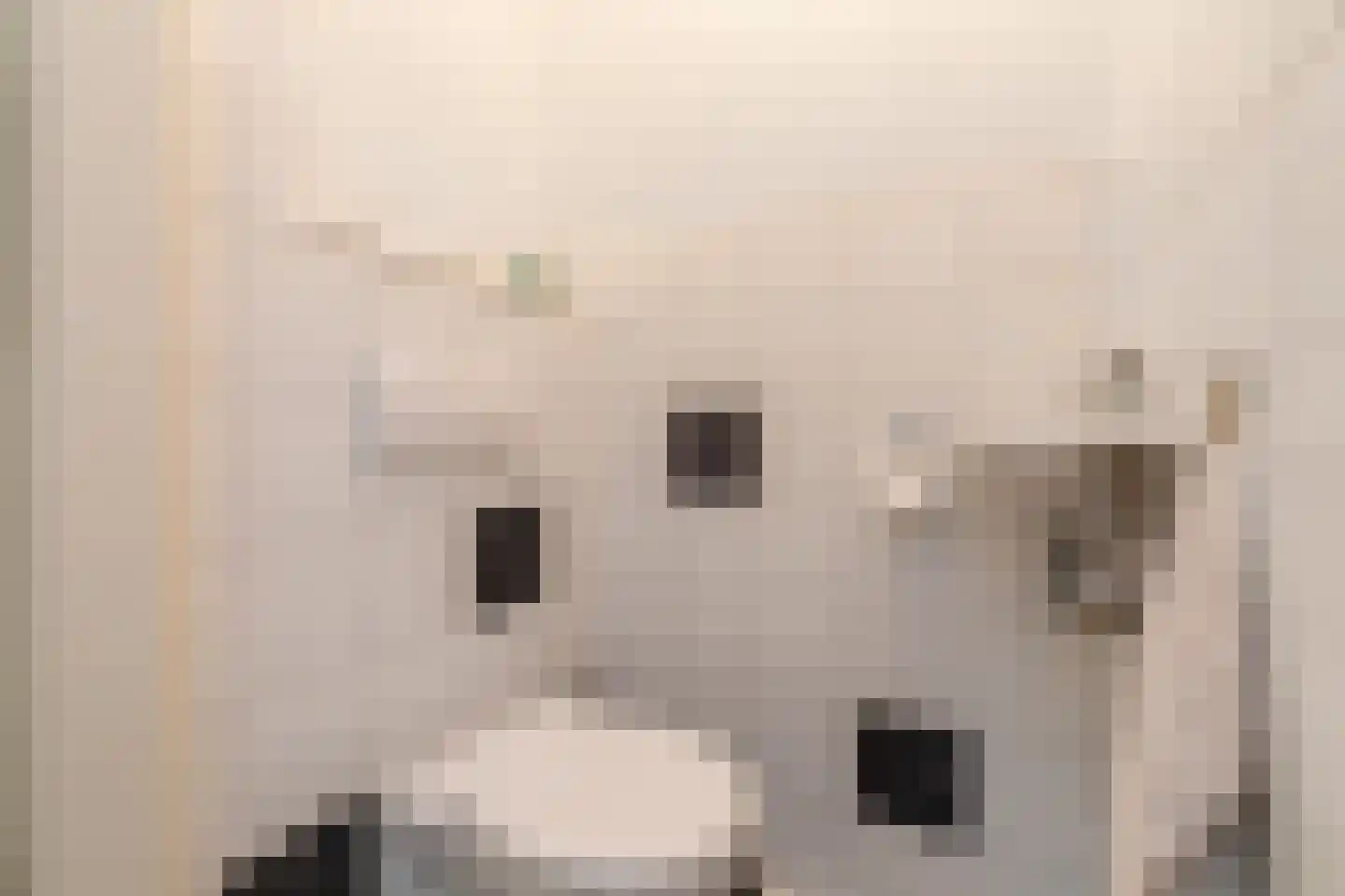 Vebenabos 39 Koudekerke thumbnail 20