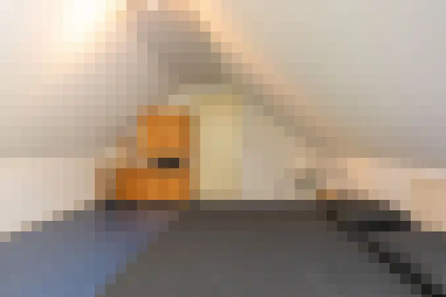 Vebenabos 39 Koudekerke thumbnail 24