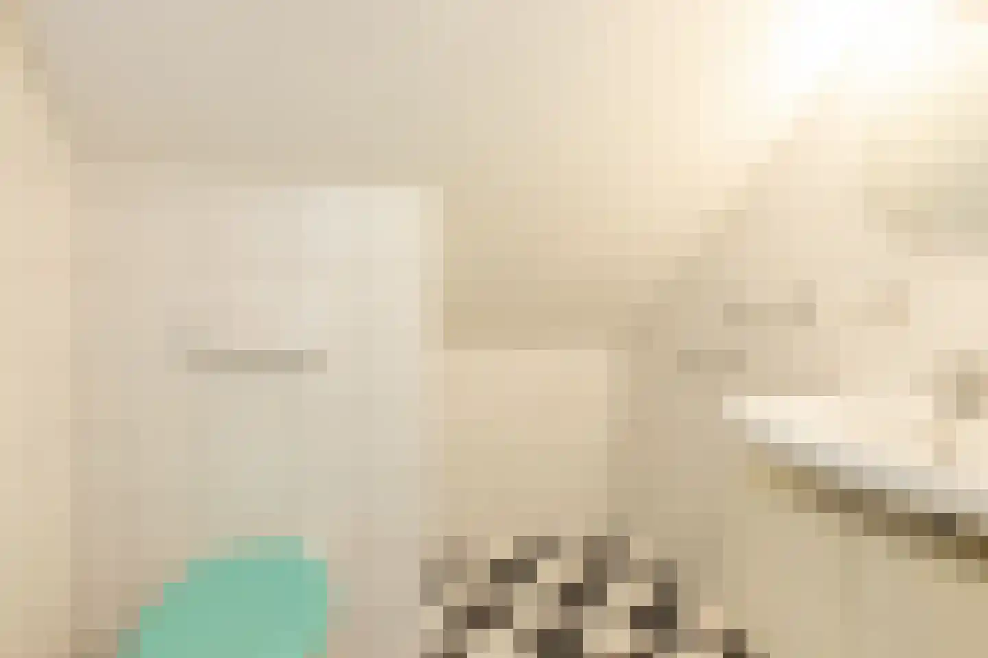Vebenabos 39 Koudekerke thumbnail 27