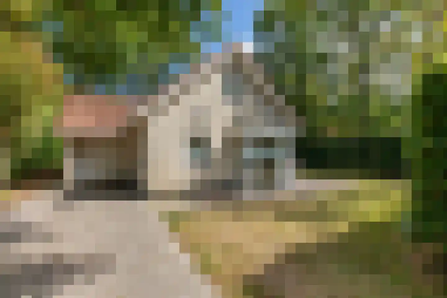 Vebenabos 39 Koudekerke thumbnail 31