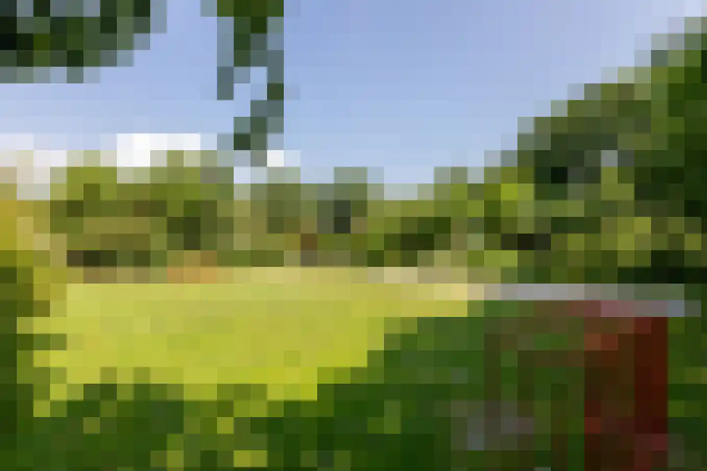 Vebenabos 39 Koudekerke thumbnail 32