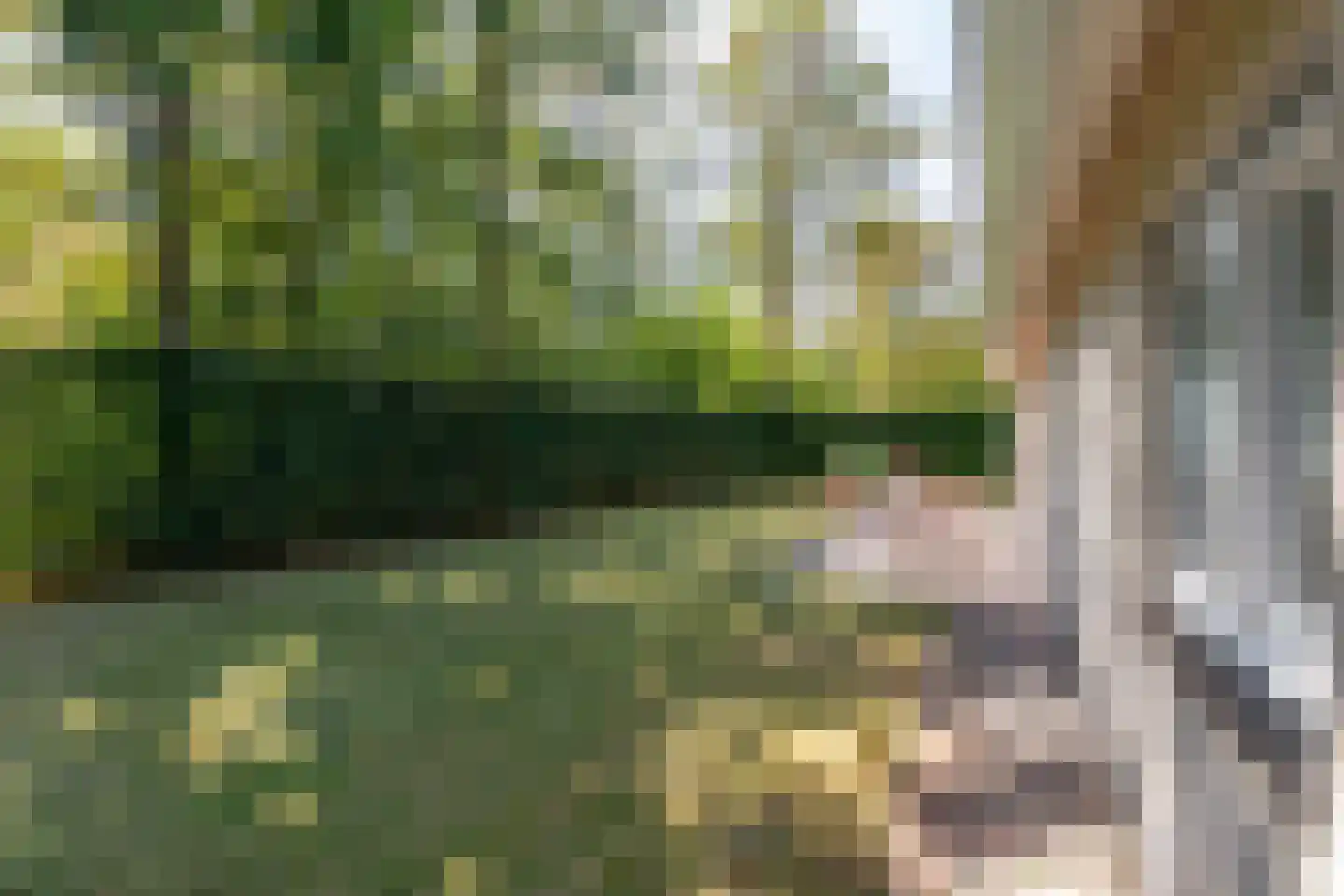 Vebenabos 39 Koudekerke thumbnail 5