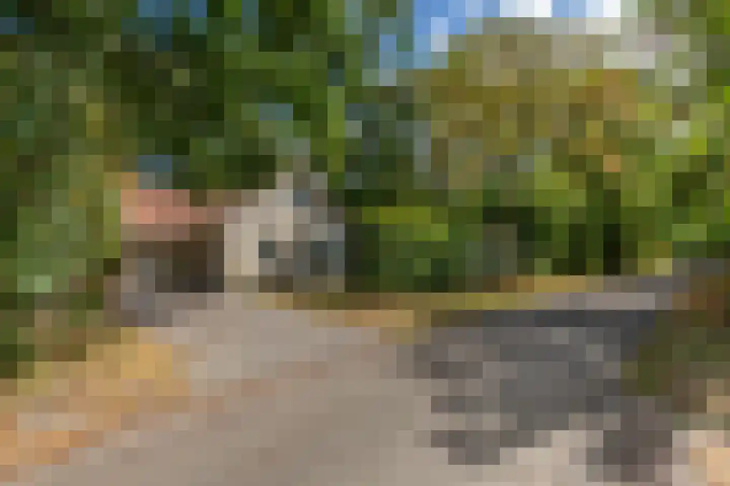 Vebenabos 39 Koudekerke thumbnail 6