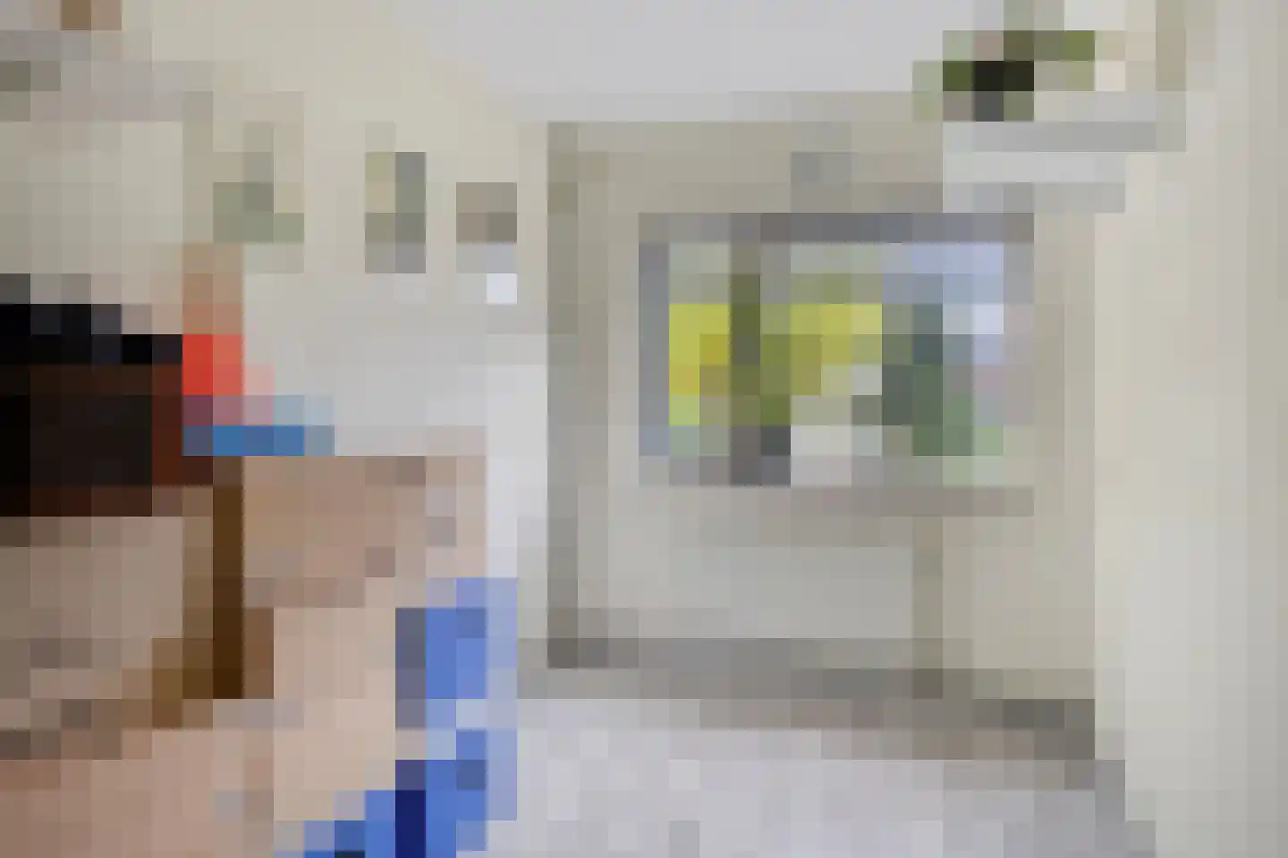 Vecht 1 Nieuwerkerk aan den IJssel thumbnail 20