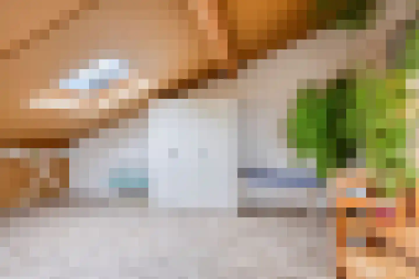Vecht 1 Nieuwerkerk aan den IJssel thumbnail 23