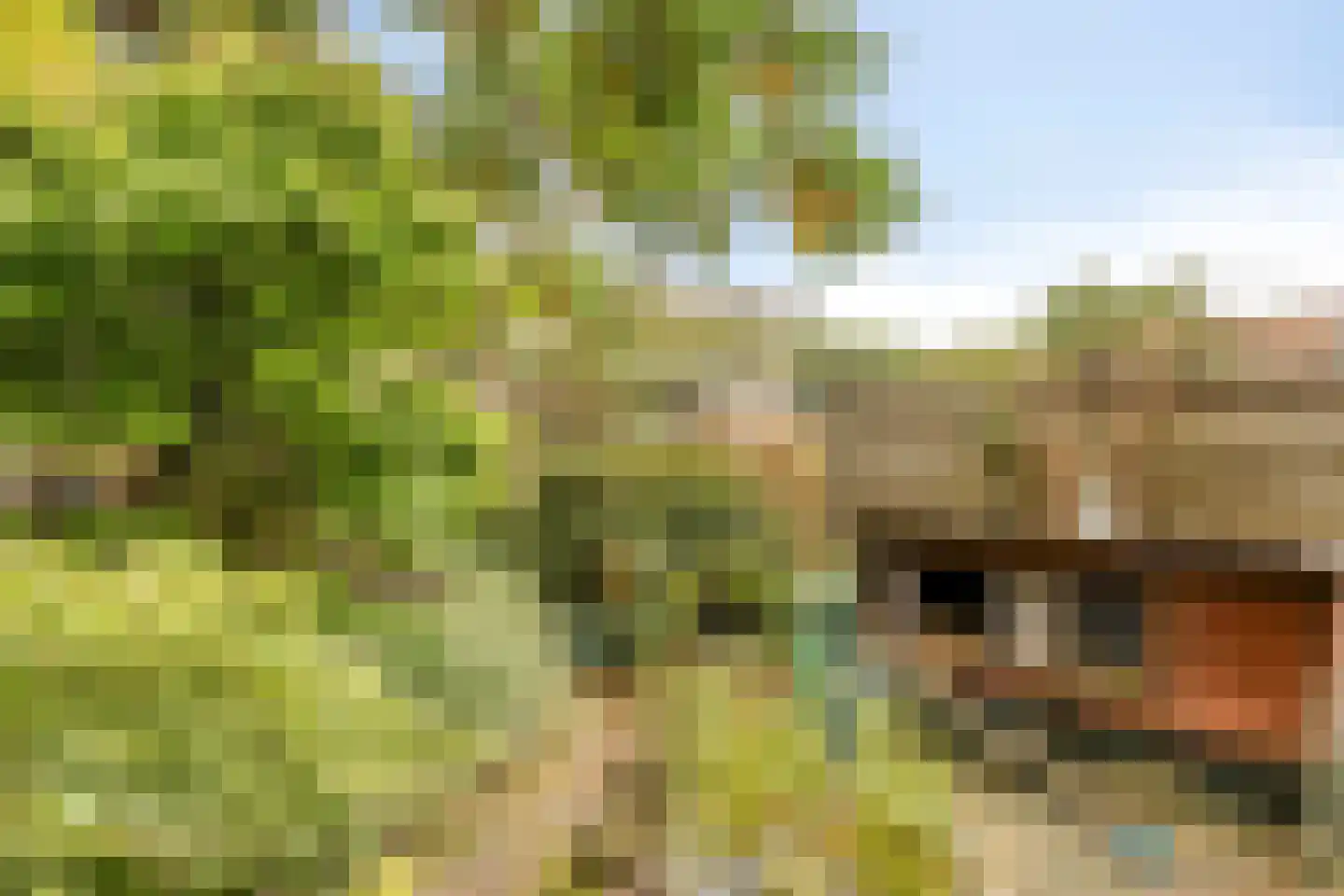 Vecht 1 Nieuwerkerk aan den IJssel thumbnail 25