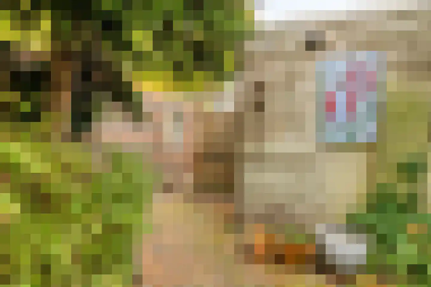 Vecht 1 Nieuwerkerk aan den IJssel thumbnail 26