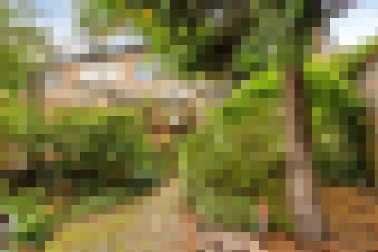 Vecht 1 Nieuwerkerk aan den IJssel thumbnail 27
