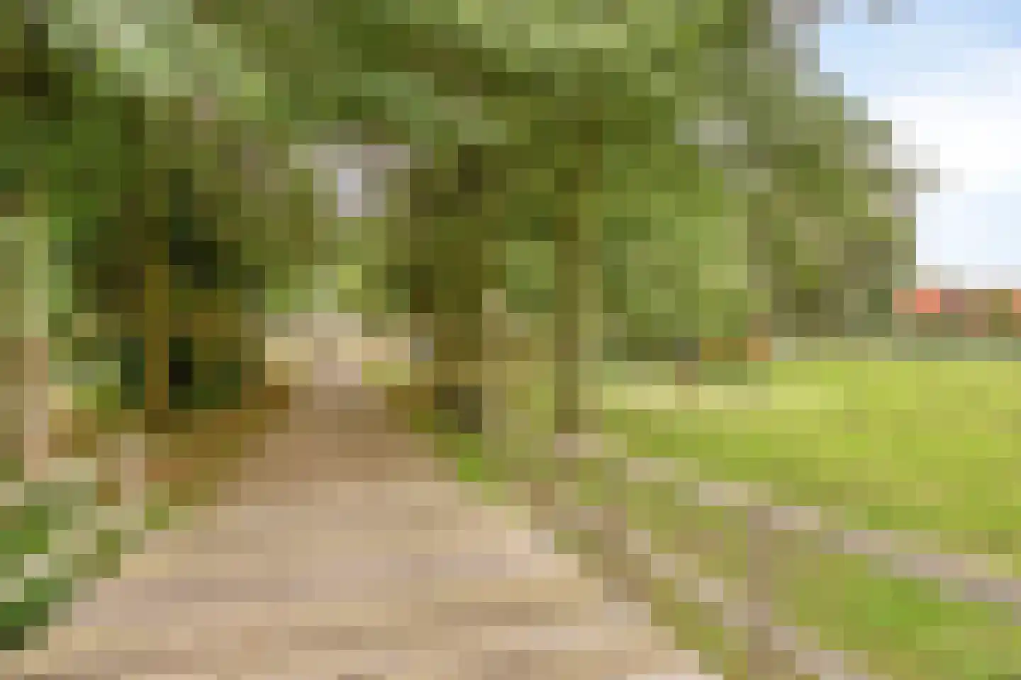Vecht 1 Nieuwerkerk aan den IJssel thumbnail 31