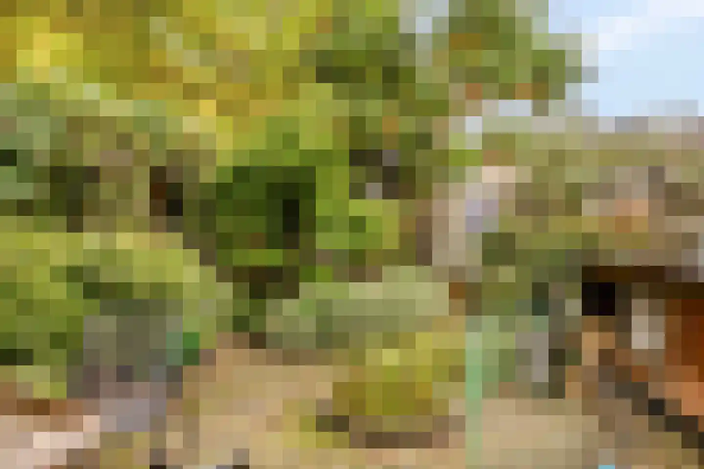 Vecht 1 Nieuwerkerk aan den IJssel thumbnail 5