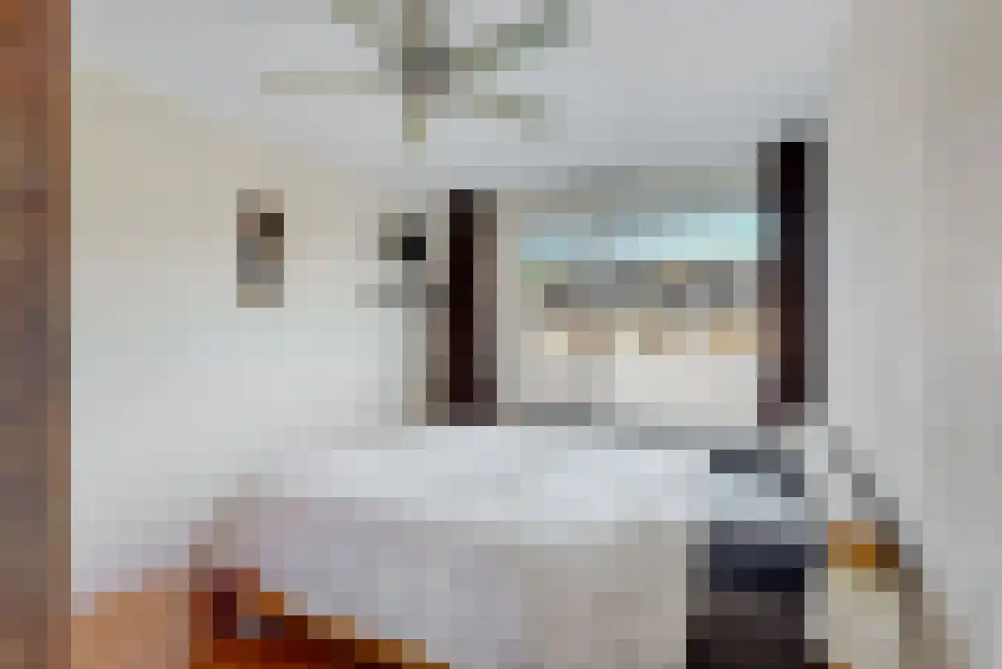 Vecht 10 Heerhugowaard thumbnail 14