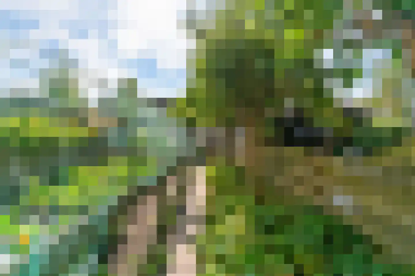 Vecht 10 Heerhugowaard thumbnail 29