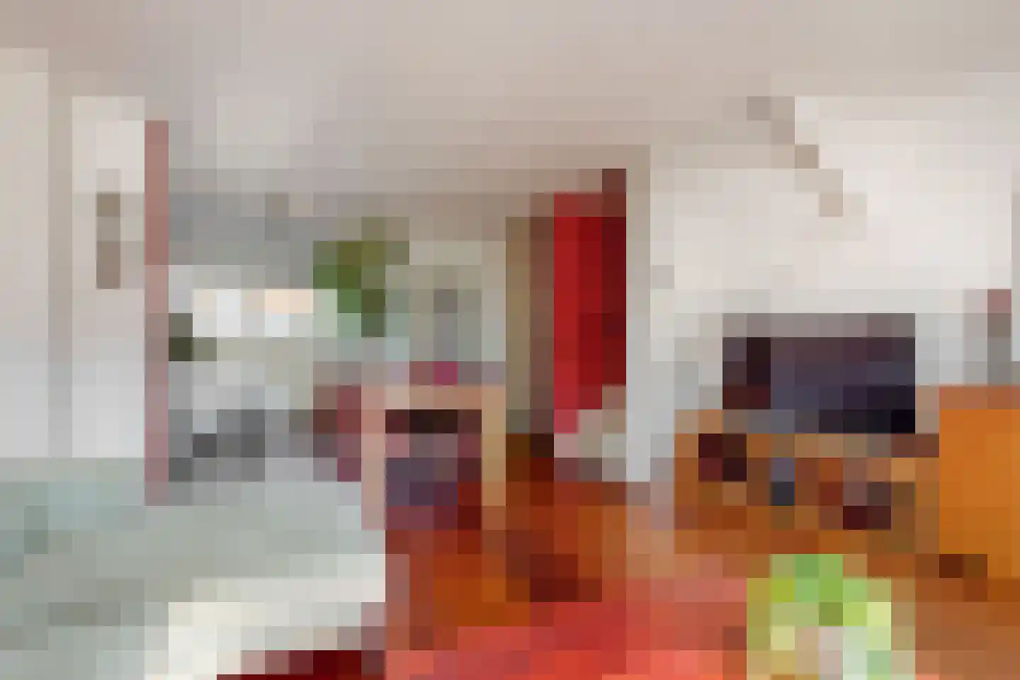 Vecht 10 Heerhugowaard thumbnail 4