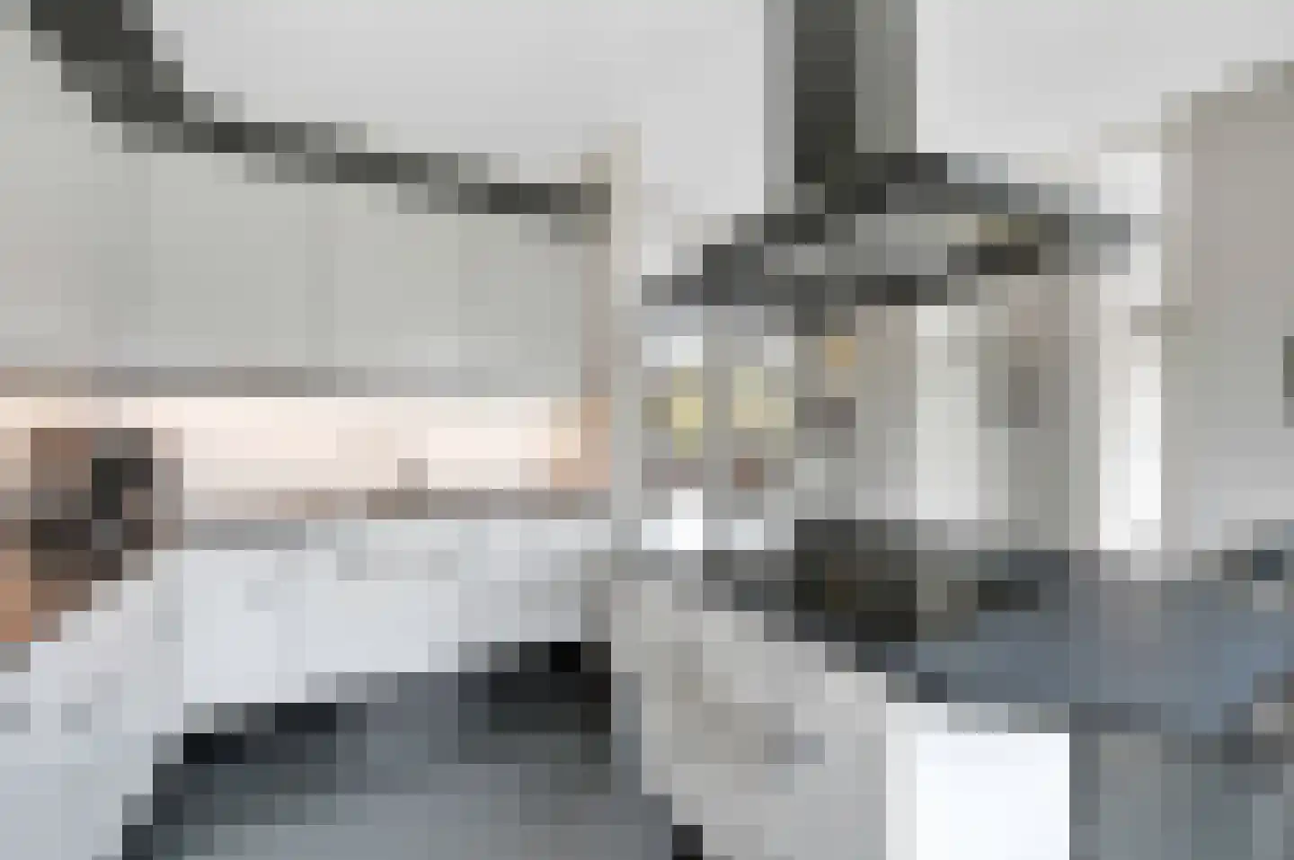 Vecht 101 Nieuwerkerk aan den IJssel thumbnail 11