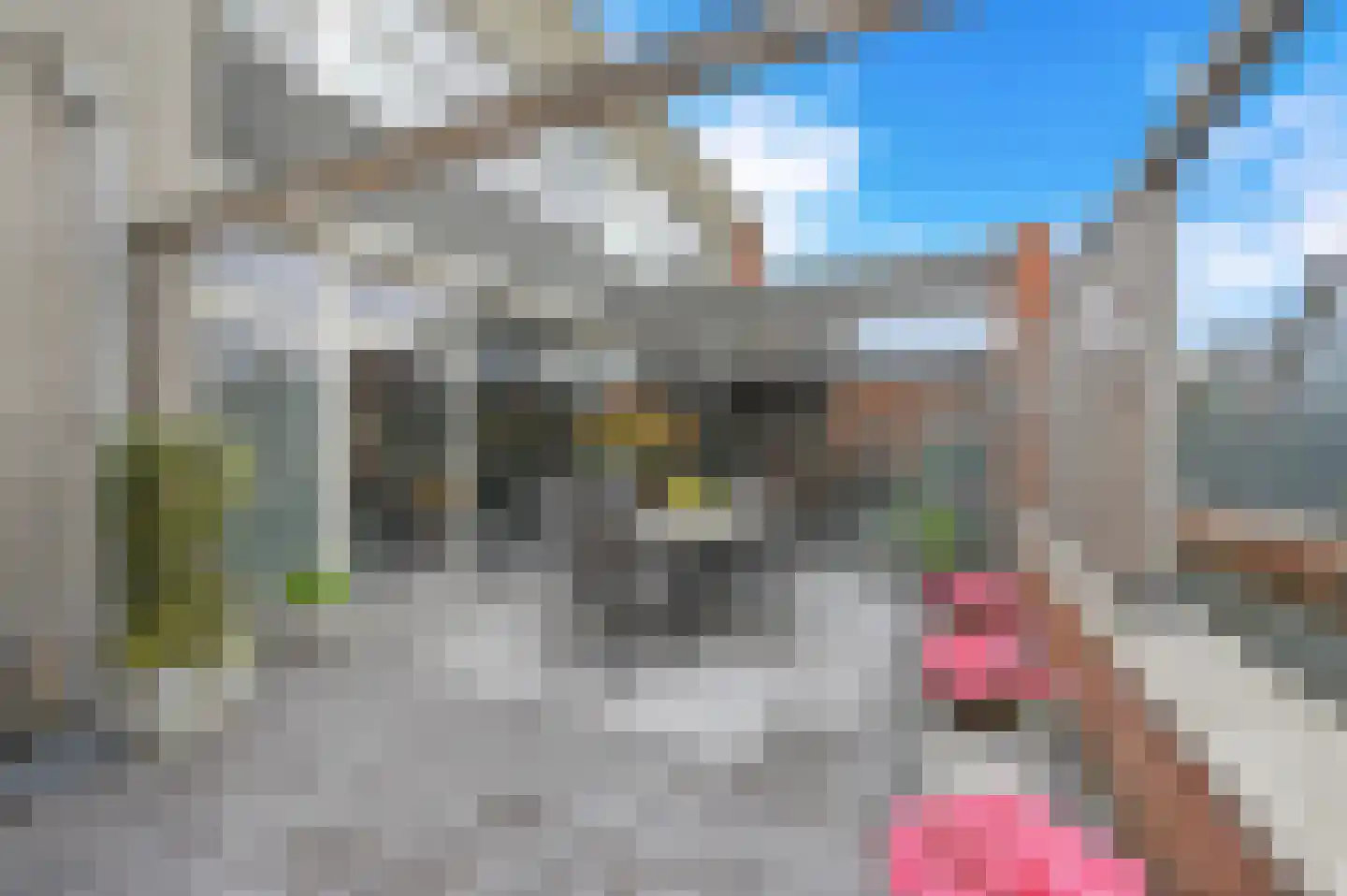 Vecht 101 Nieuwerkerk aan den IJssel thumbnail 24