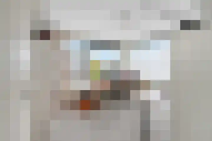 Vecht 101 Nieuwerkerk aan den IJssel thumbnail 31