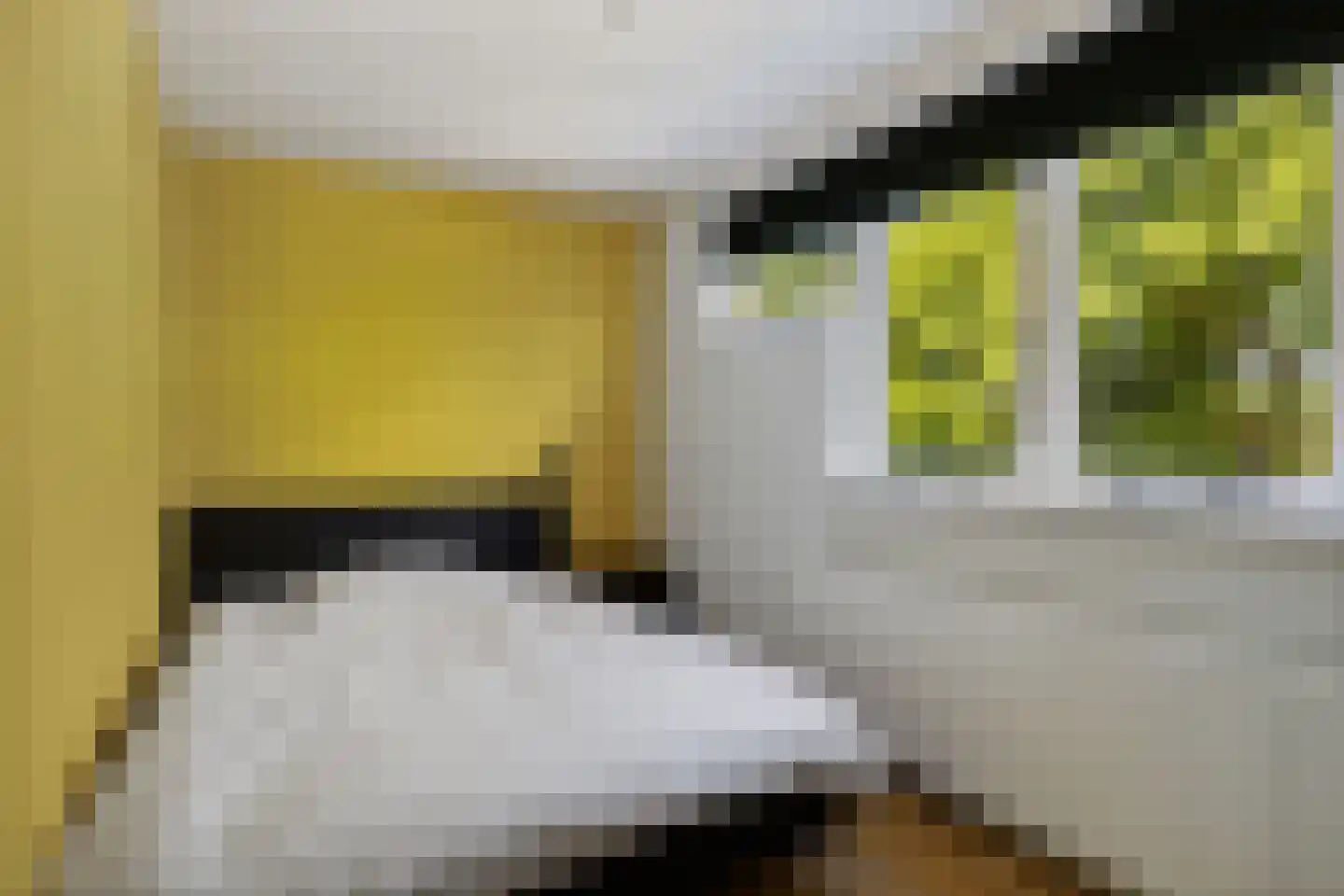 Vecht 12 Huizen thumbnail 24