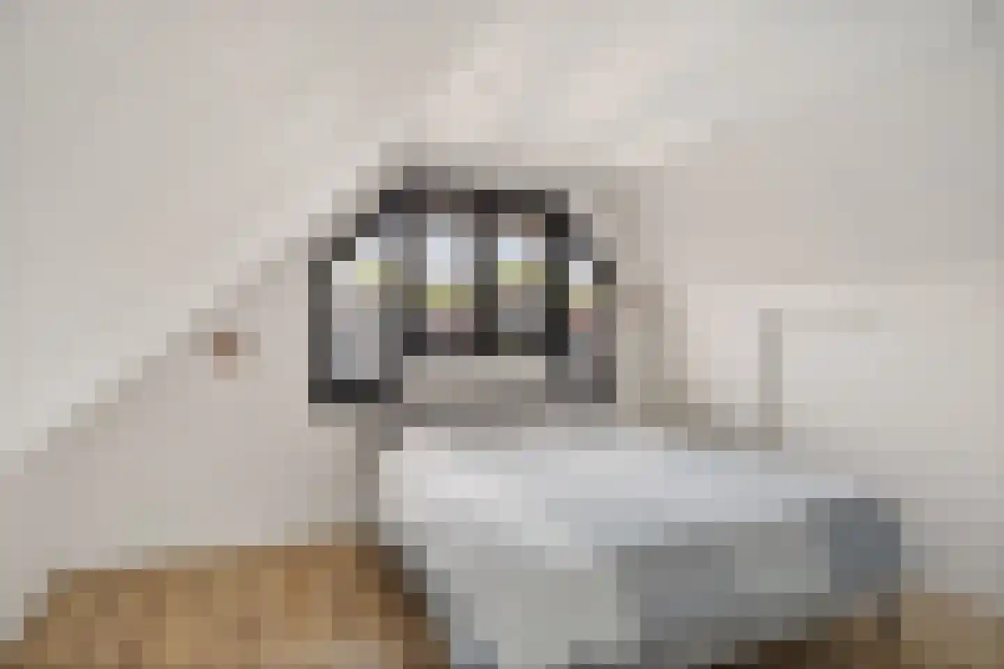 Vecht 12 Huizen thumbnail 30