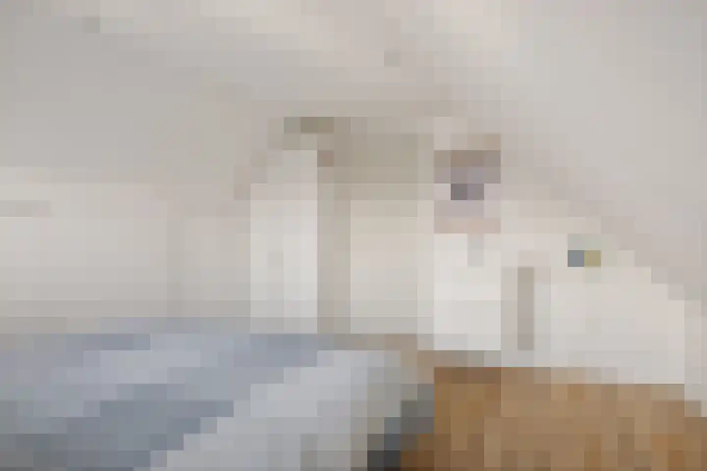 Vecht 12 Huizen thumbnail 31