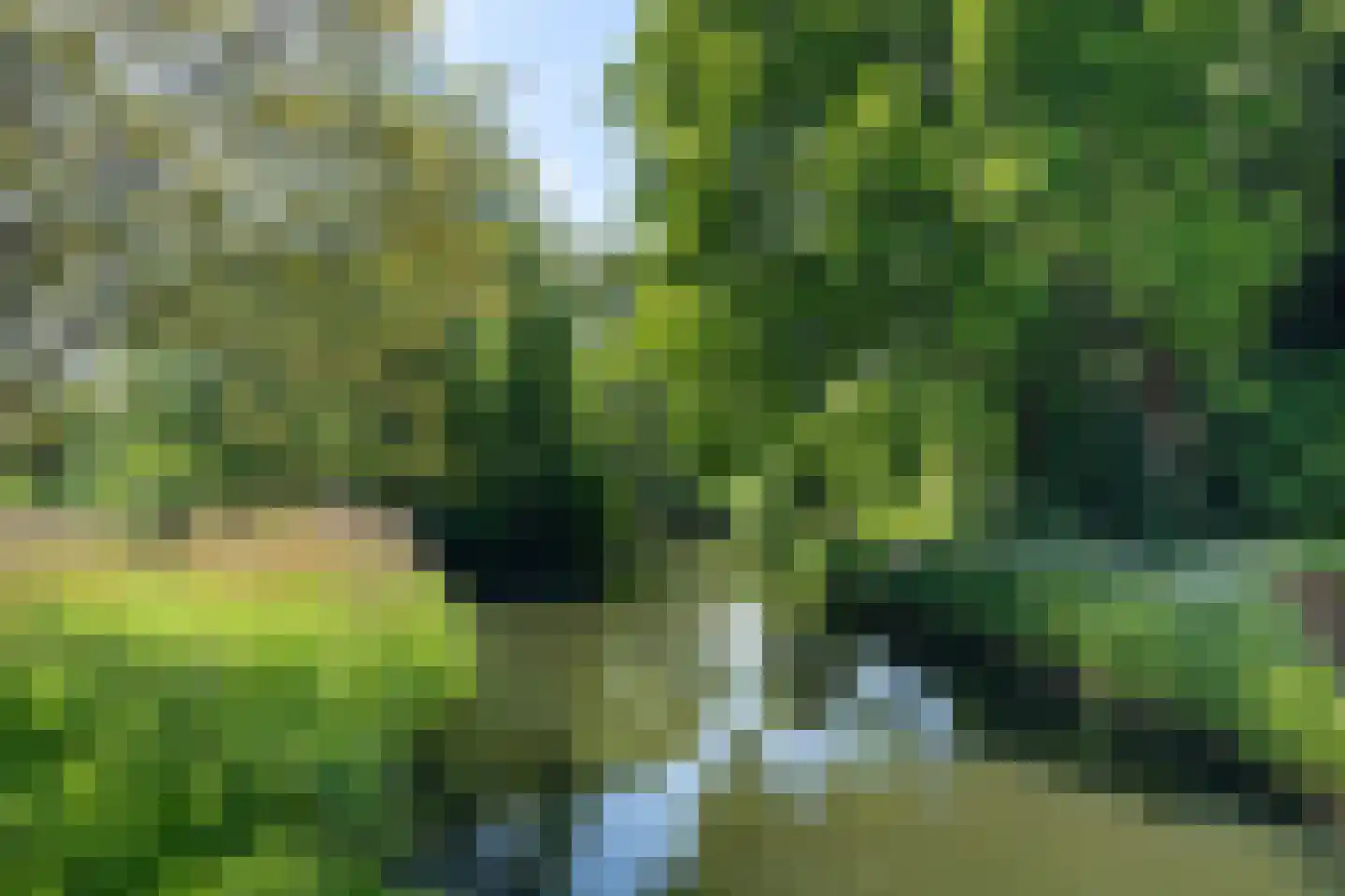 Vecht 12 Huizen thumbnail 38