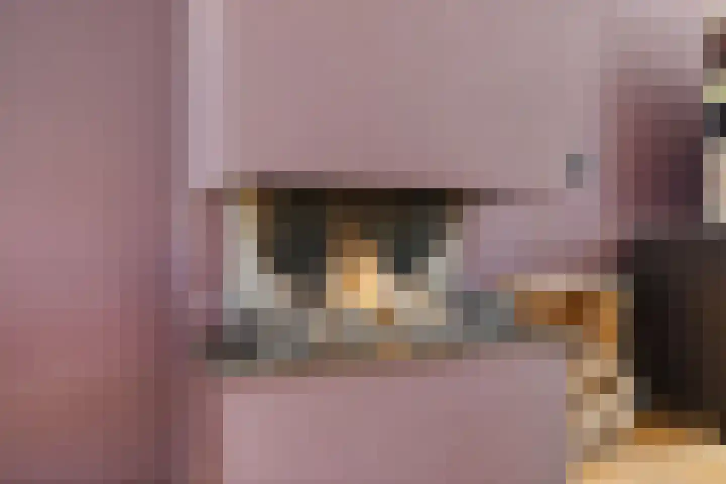 Vecht 12 Huizen thumbnail 4
