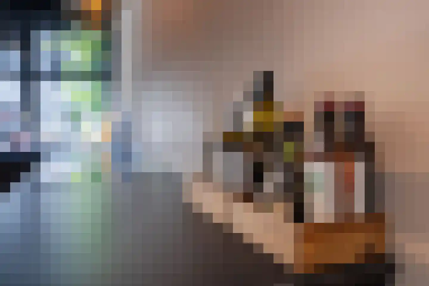 Vecht 120 Nieuwerkerk aan den IJssel thumbnail 11